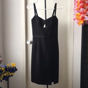 Club Monaco Classic LBD